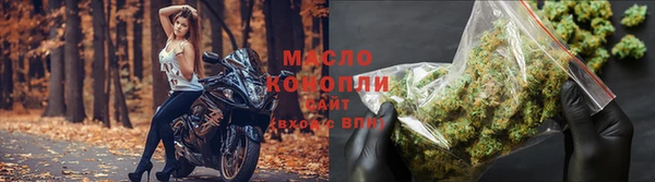 гашик Богородицк