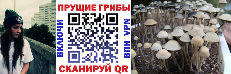 мега вход  Козьмодемьянск  даркнет клад  Галлюциногенные грибы GOLDEN TEACHER 
